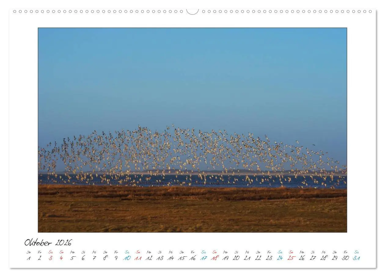 Bild: 9783457909980 | Amrum - Farben einer Insel (Wandkalender 2026 DIN A2 quer),...