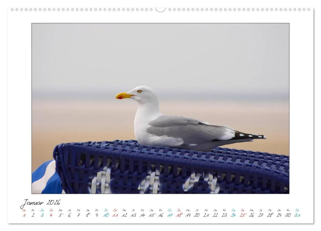 Bild: 9783457909980 | Amrum - Farben einer Insel (Wandkalender 2026 DIN A2 quer),...