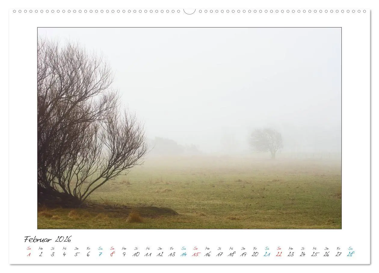 Bild: 9783457909980 | Amrum - Farben einer Insel (Wandkalender 2026 DIN A2 quer),...
