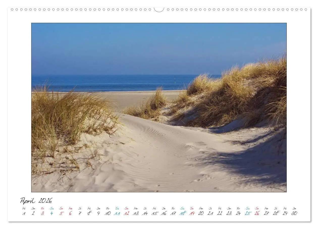 Bild: 9783457909980 | Amrum - Farben einer Insel (Wandkalender 2026 DIN A2 quer),...