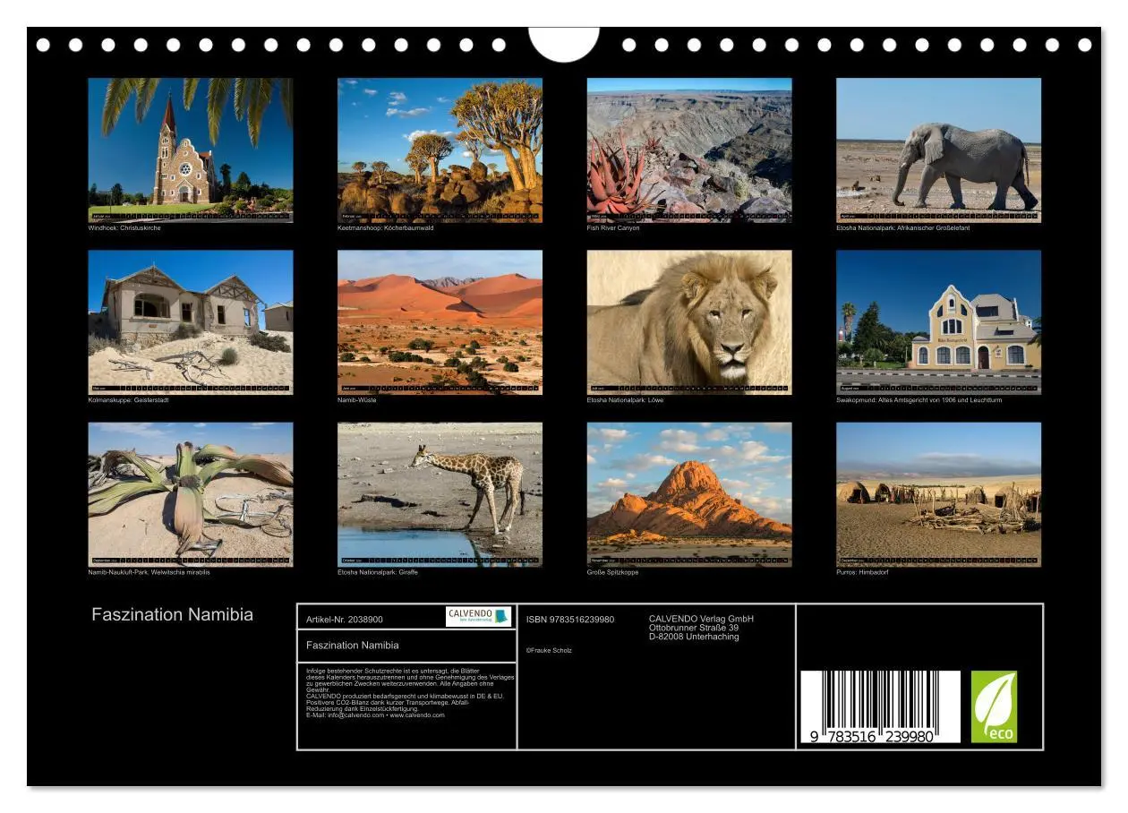Bild: 9783516239980 | Faszination Namibia (Wandkalender 2026 DIN A4 quer), CALVENDO...