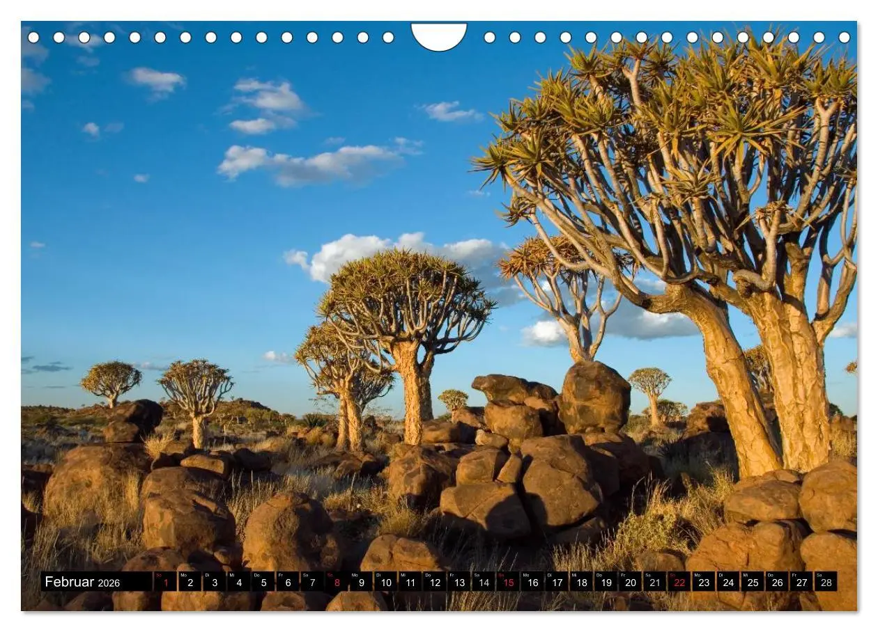 Bild: 9783516239980 | Faszination Namibia (Wandkalender 2026 DIN A4 quer), CALVENDO...