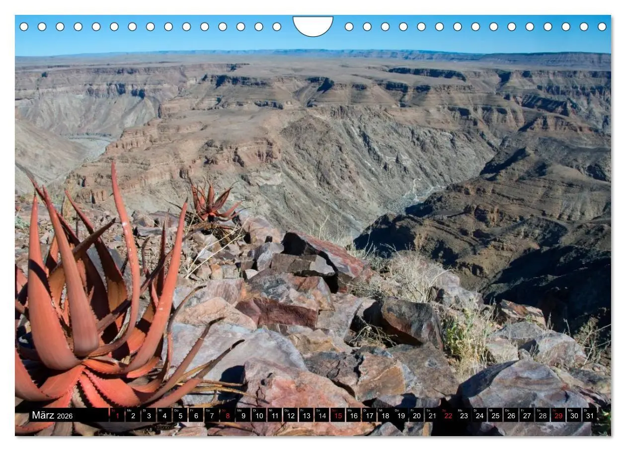 Bild: 9783516239980 | Faszination Namibia (Wandkalender 2026 DIN A4 quer), CALVENDO...