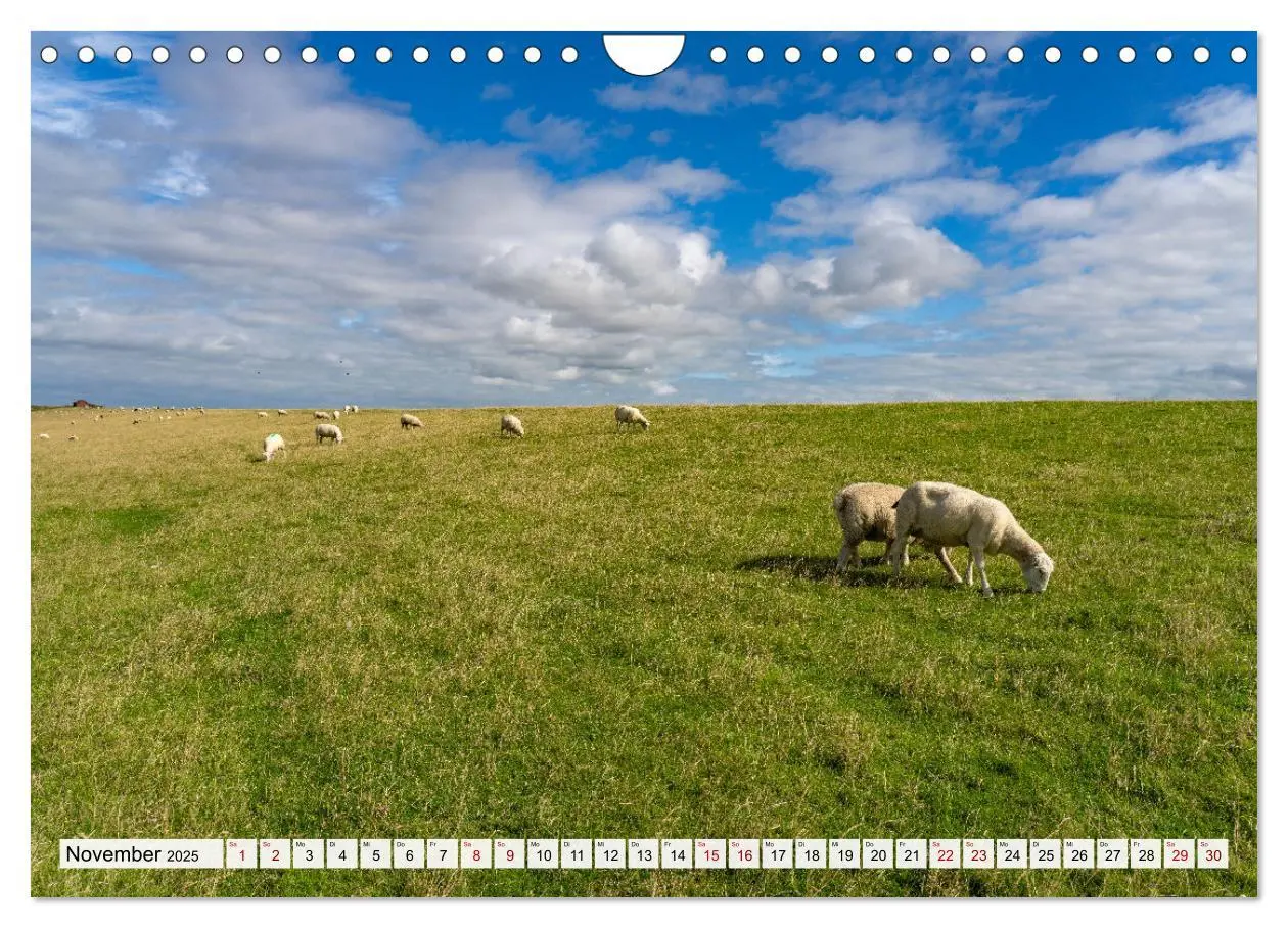 Bild: 9783383840081 | Schleswig-Holstein - Nordfriesland (Wandkalender 2025 DIN A4 quer),...