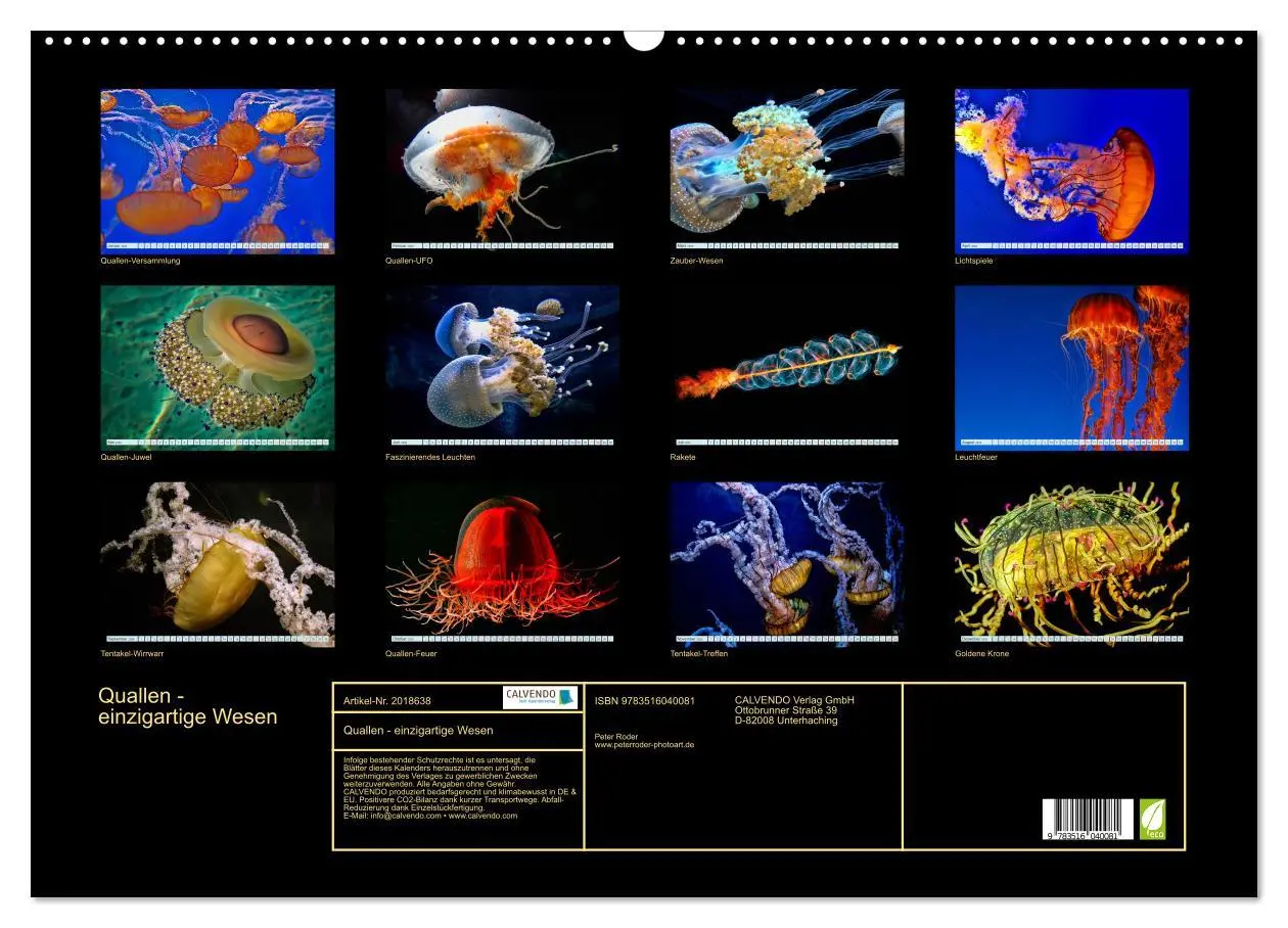 Bild: 9783516040081 | Quallen - einzigartige Wesen (Wandkalender 2026 DIN A2 quer),...