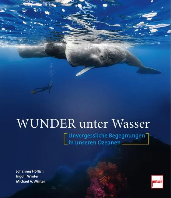 Cover: 9783613510081 | Wunder unter Wasser | Unvergessliche Begegnungen in unseren Ozeanen