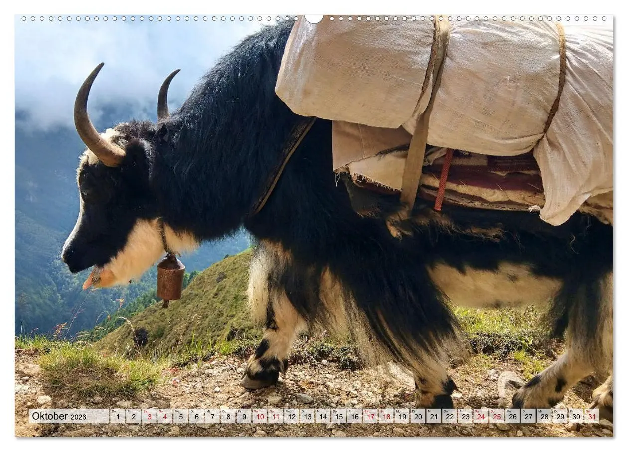 Bild: 9783457560181 | Yaks - auf steinigen Pfaden (Wandkalender 2026 DIN A2 quer),...