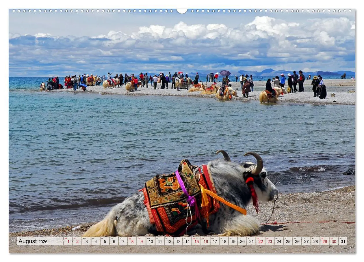 Bild: 9783457560181 | Yaks - auf steinigen Pfaden (Wandkalender 2026 DIN A2 quer),...