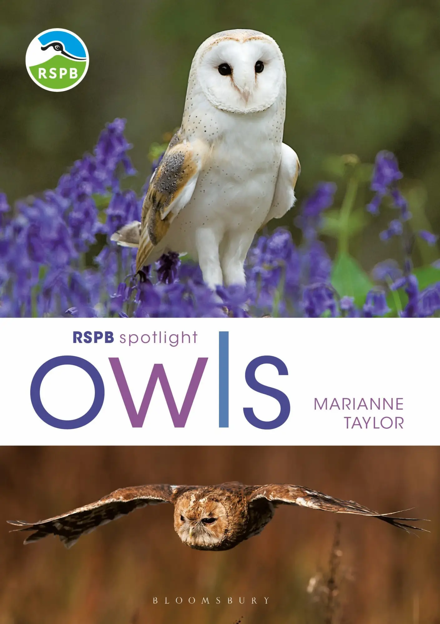 Cover: 9781472980281 | RSPB Spotlight Owls | Marianne Taylor | Taschenbuch | Englisch | 2020