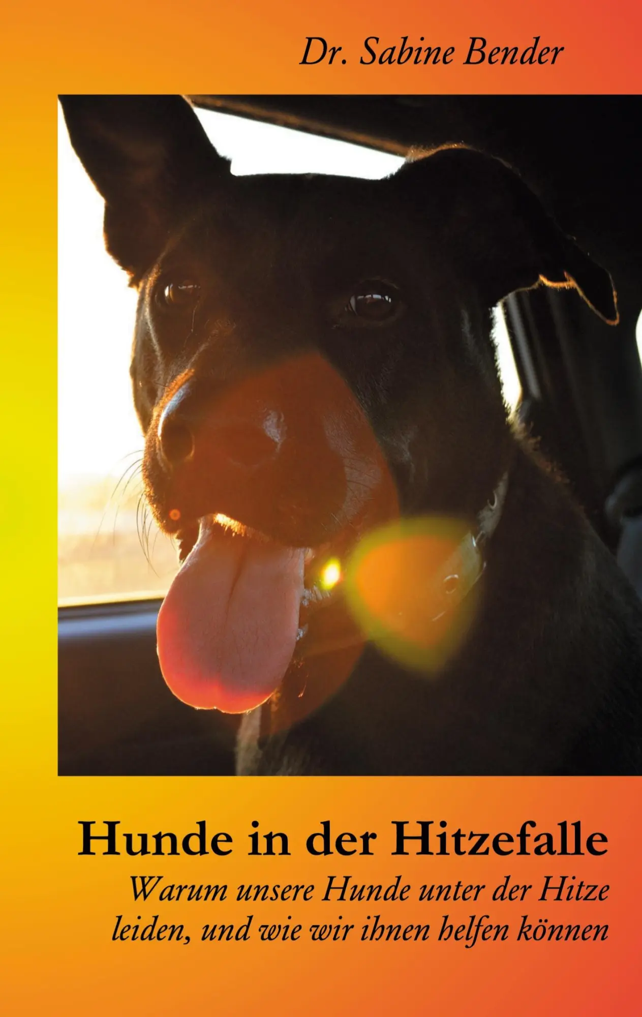 Cover: 9783751960281 | Hunde in der Hitzefalle | Sabine Bender | Taschenbuch | Paperback