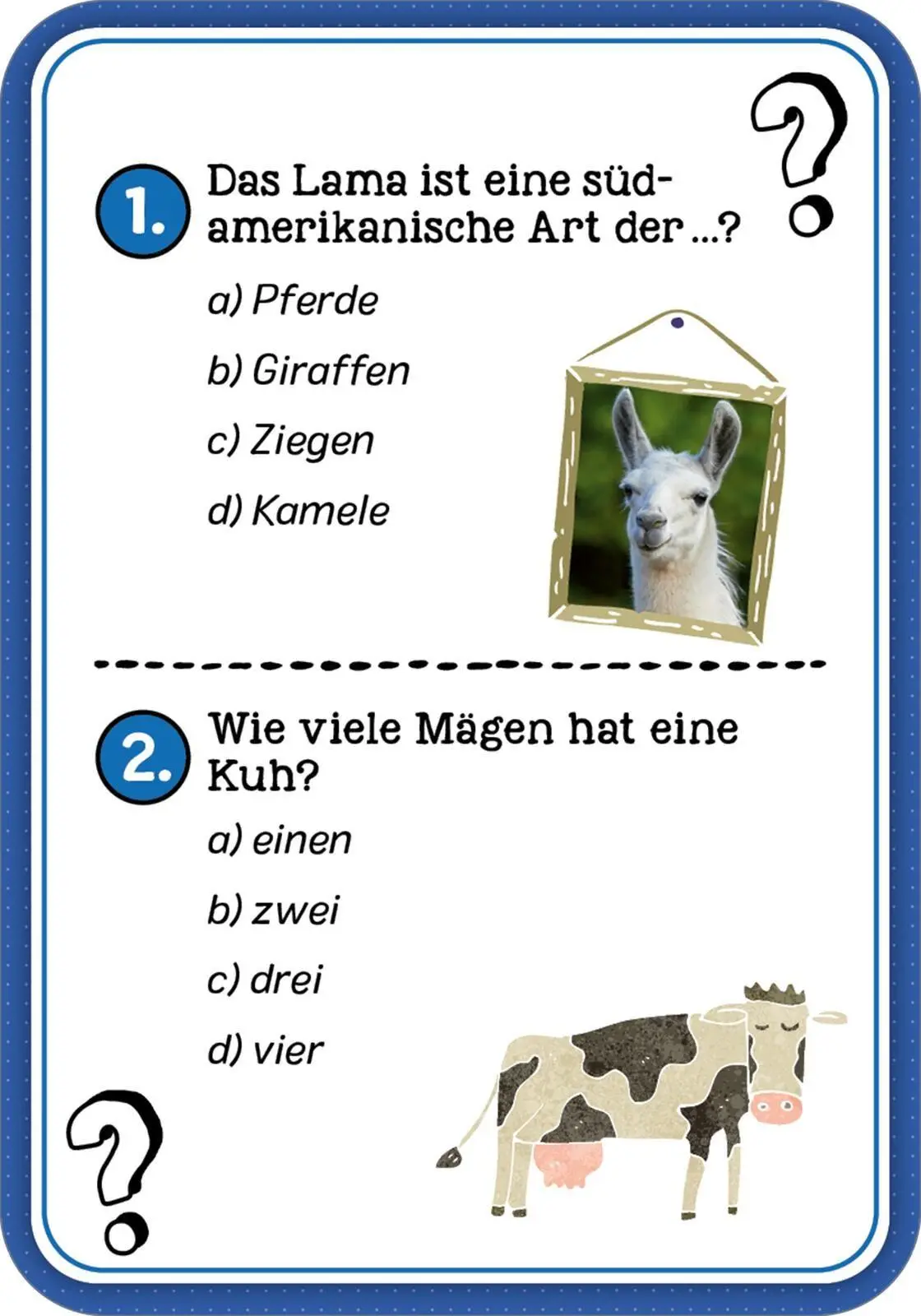 Bild: 9783845870281 | Das Wissens-Quiz | Philip Kiefer | Taschenbuch | Quiz-Kartenboxen