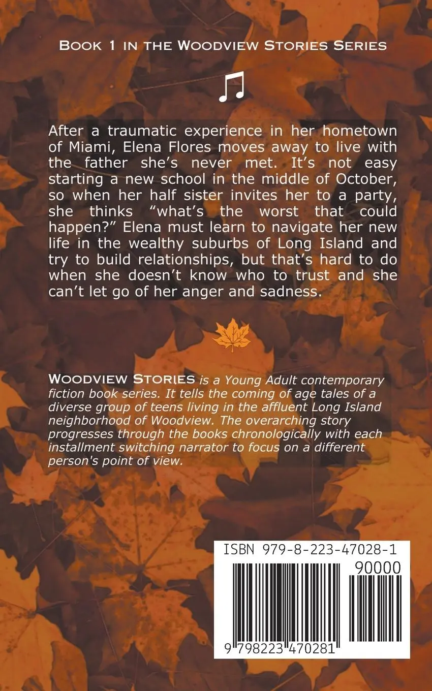 Rückseite: 9798223470281 | It Could Always Be Worse | Ian Rose Castro | Taschenbuch | Englisch