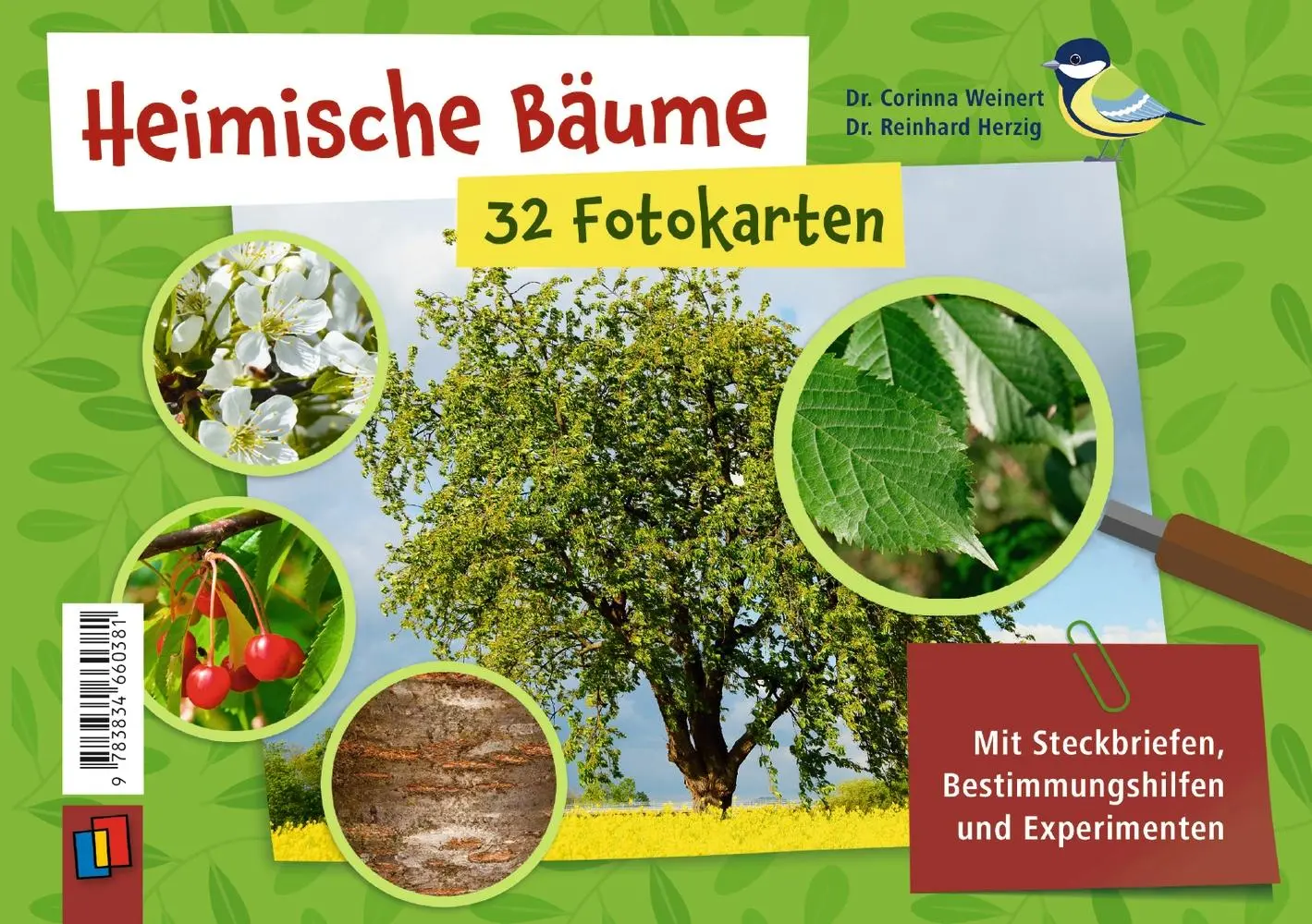 Cover: 9783834660381 | Heimische Bäume - 32 Fotokarten | Corinna Weinert (u. a.) | Box | 2022