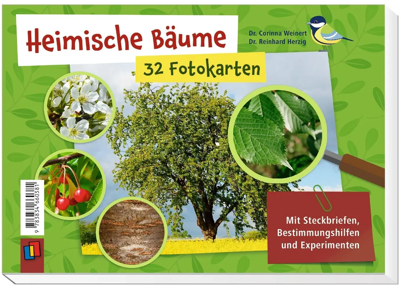 Bild: 9783834660381 | Heimische Bäume - 32 Fotokarten | Corinna Weinert (u. a.) | Box | 2022