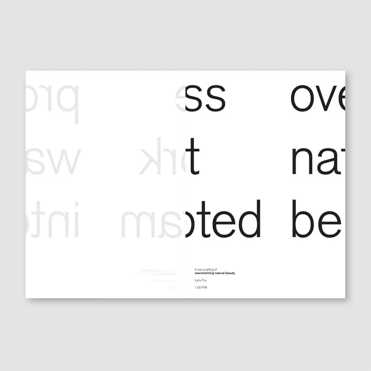 Bild: 9783948440381 | American Bauhaus | Erik Schmitt | Taschenbuch | 112 S. | Englisch