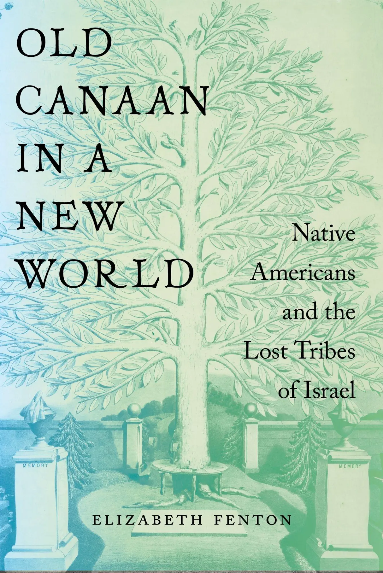 Cover: 9781479820481 | Old Canaan in a New World | Elizabeth Fenton | Taschenbuch | Englisch