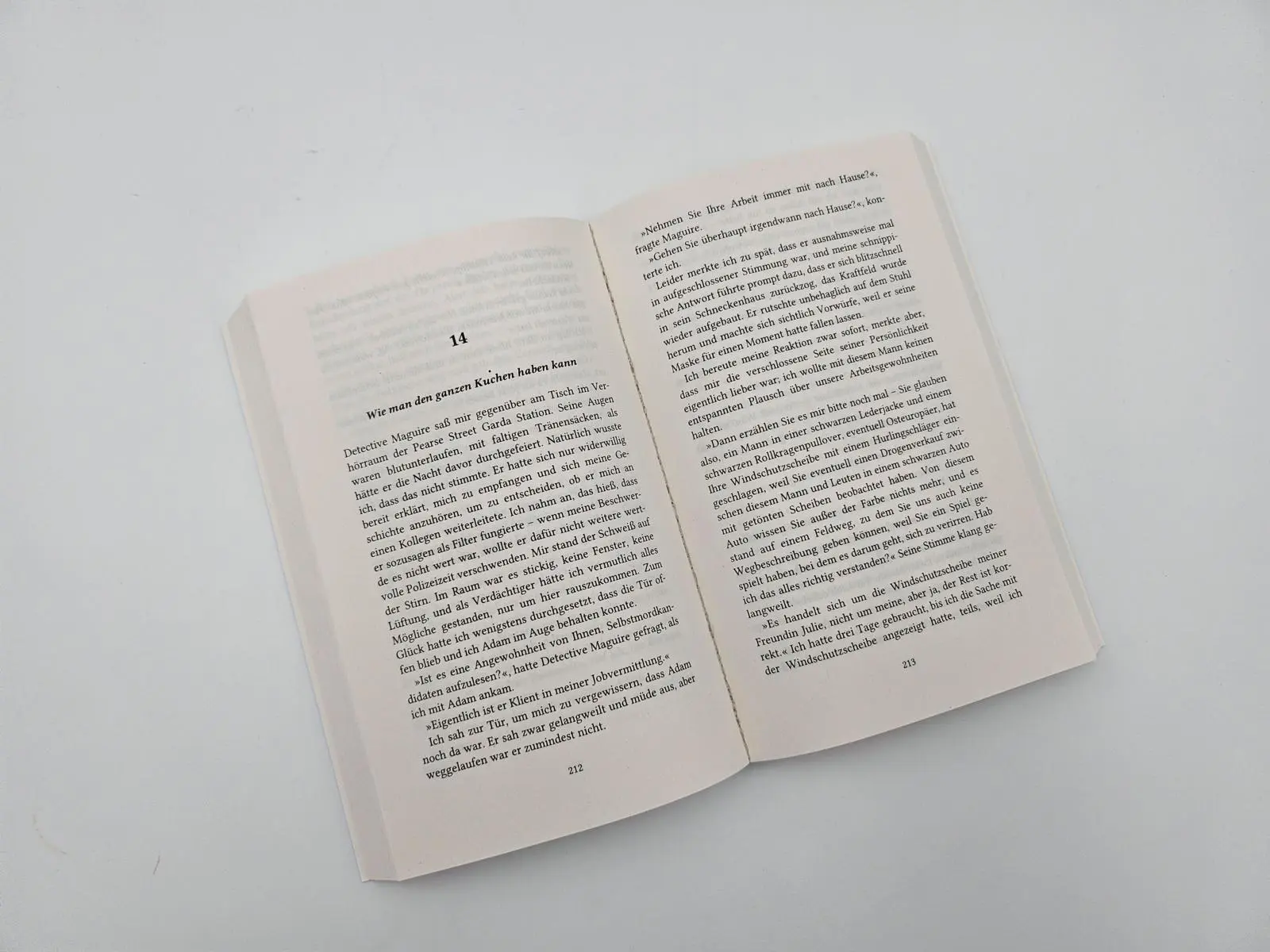 Bild: 9783492320481 | Die Liebe deines Lebens | Cecelia Ahern | Taschenbuch | 416 S. | 2024