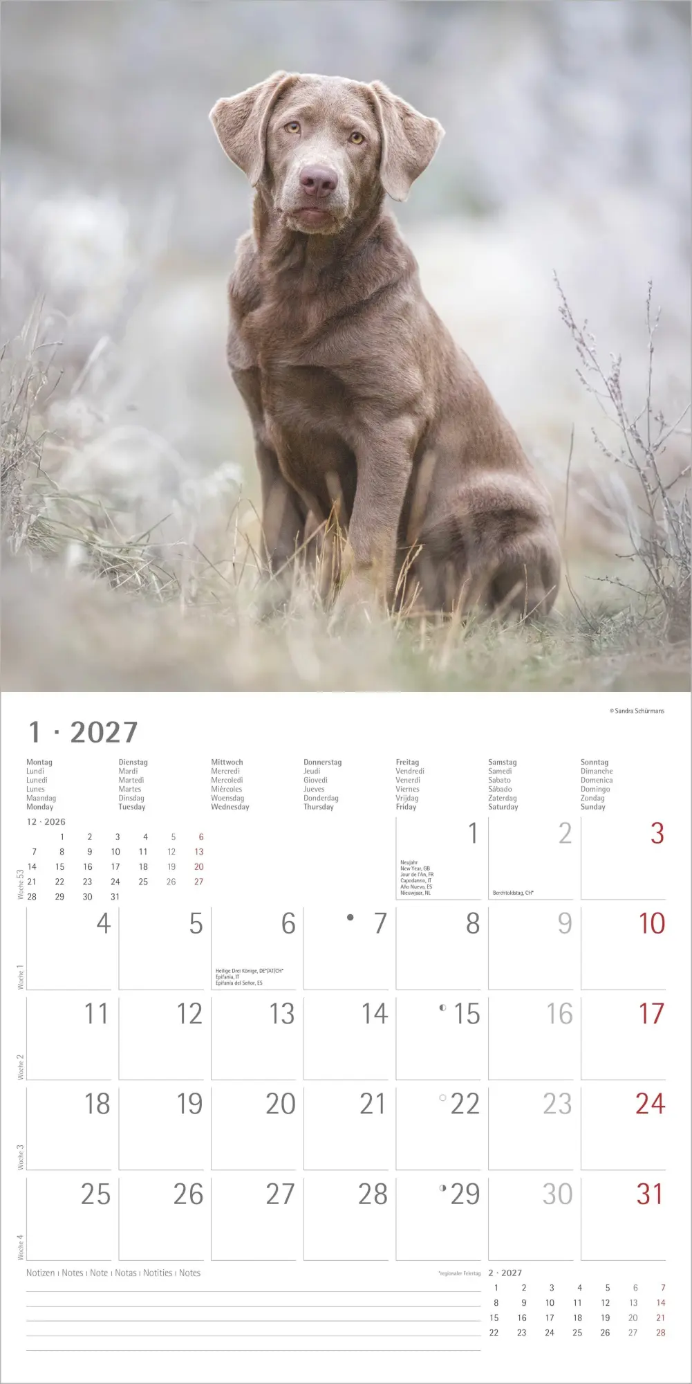 Bild: 4069095010581 | Hunde 2027 | Neumann Verlage GmbH &amp; Co KG | Kalender | 14 S. | Deutsch