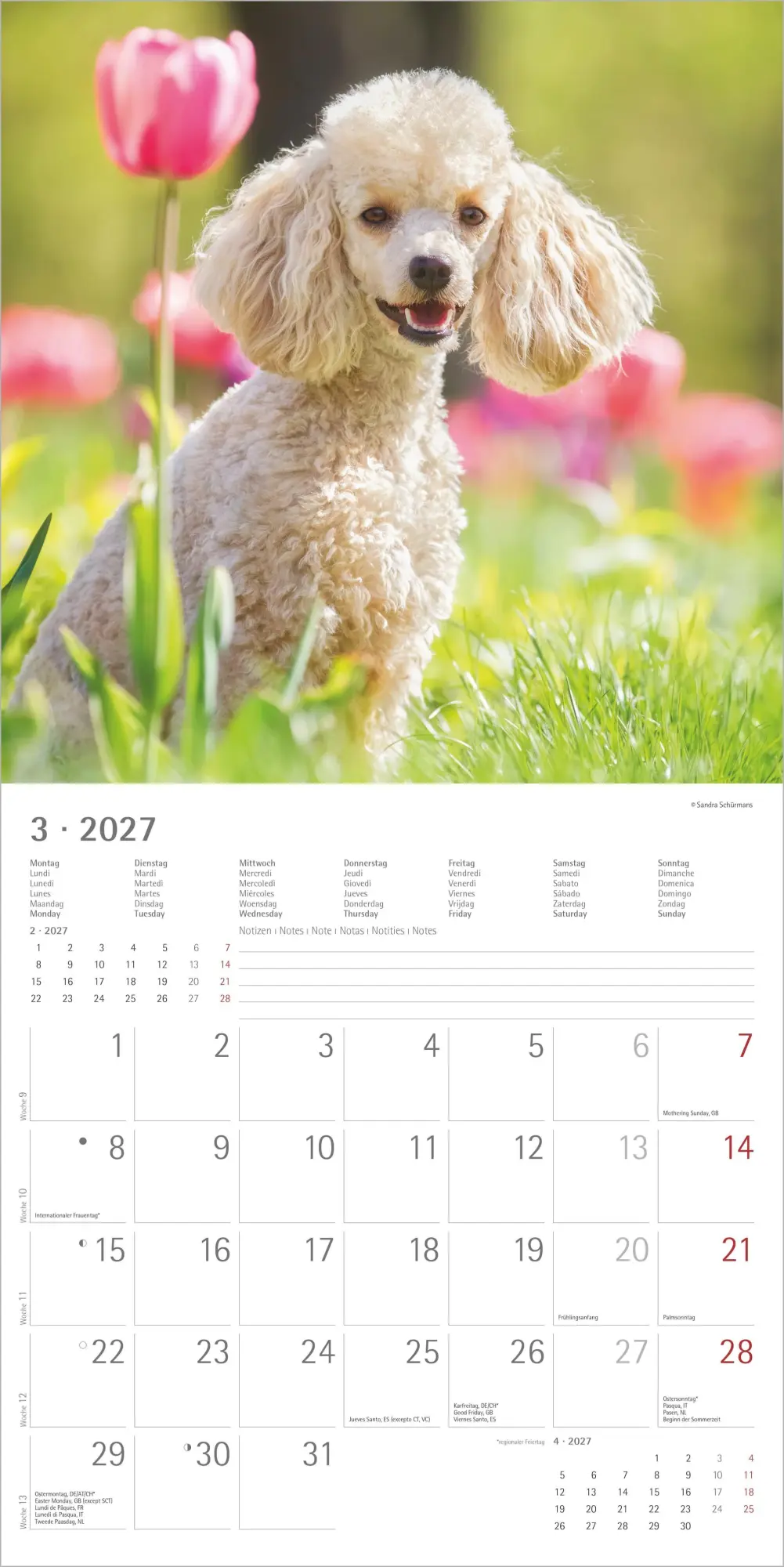 Bild: 4069095010581 | Hunde 2027 | Neumann Verlage GmbH &amp; Co KG | Kalender | 14 S. | Deutsch