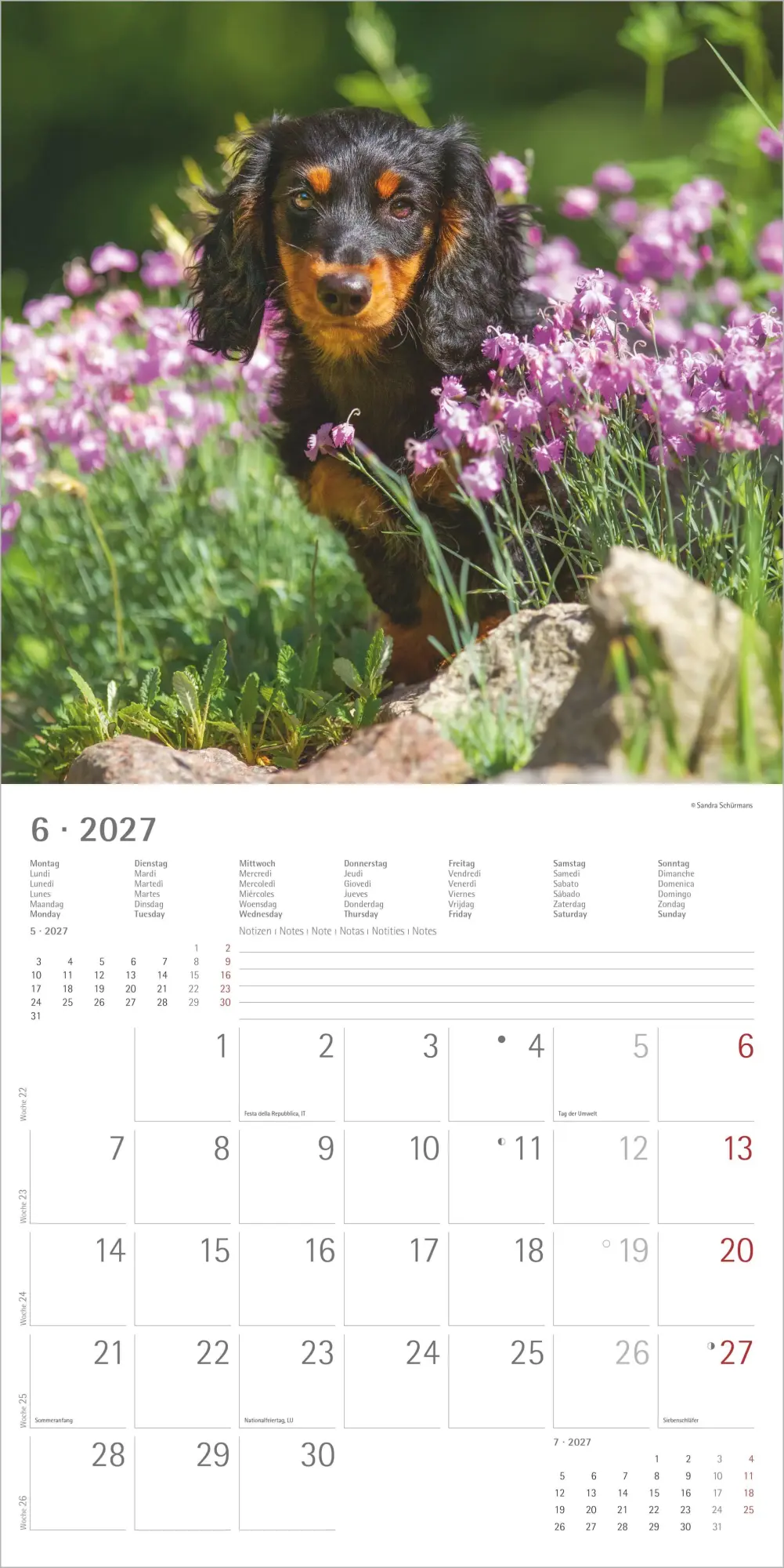 Bild: 4069095010581 | Hunde 2027 | Neumann Verlage GmbH &amp; Co KG | Kalender | 14 S. | Deutsch
