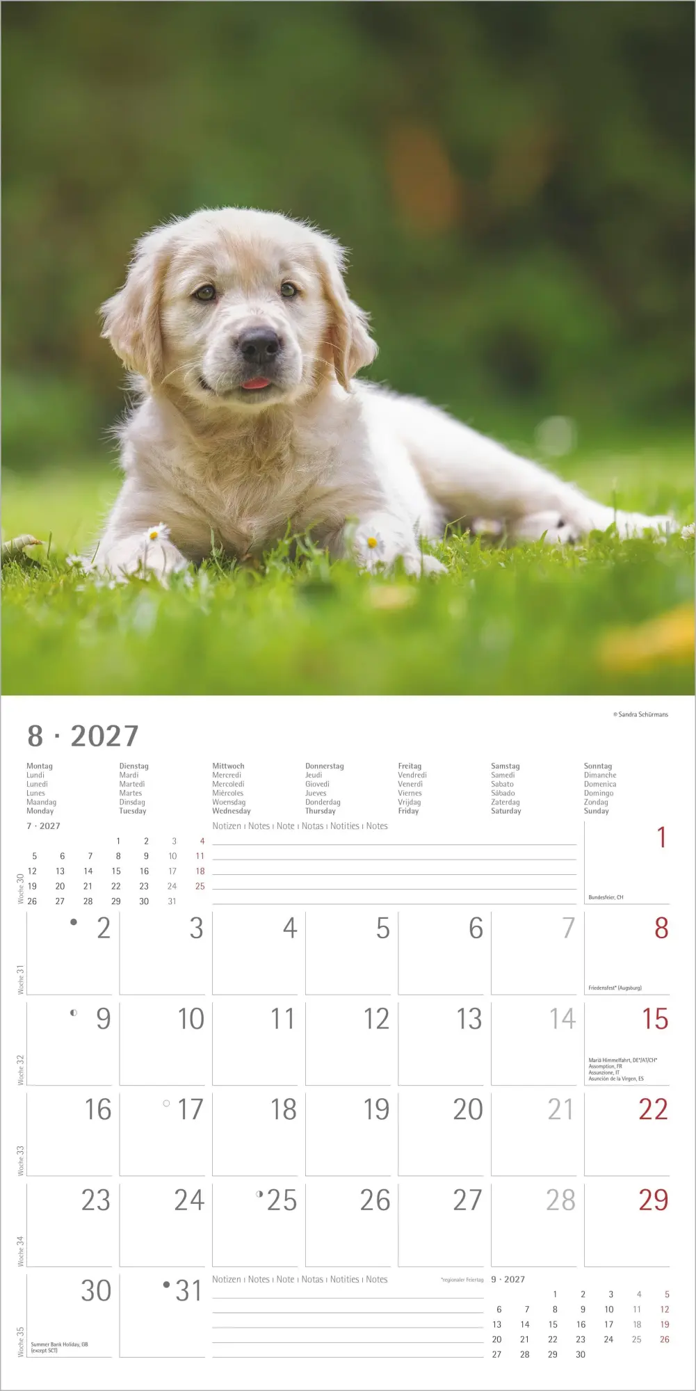 Bild: 4069095010581 | Hunde 2027 | Neumann Verlage GmbH &amp; Co KG | Kalender | 14 S. | Deutsch