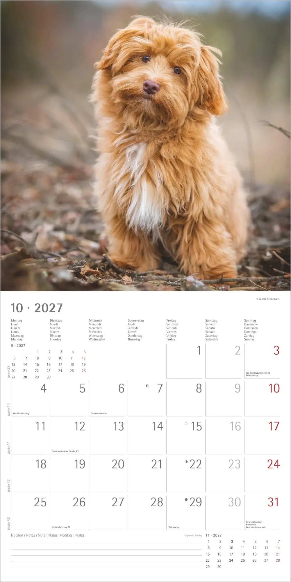 Bild: 4069095010581 | Hunde 2027 | Neumann Verlage GmbH &amp; Co KG | Kalender | 14 S. | Deutsch