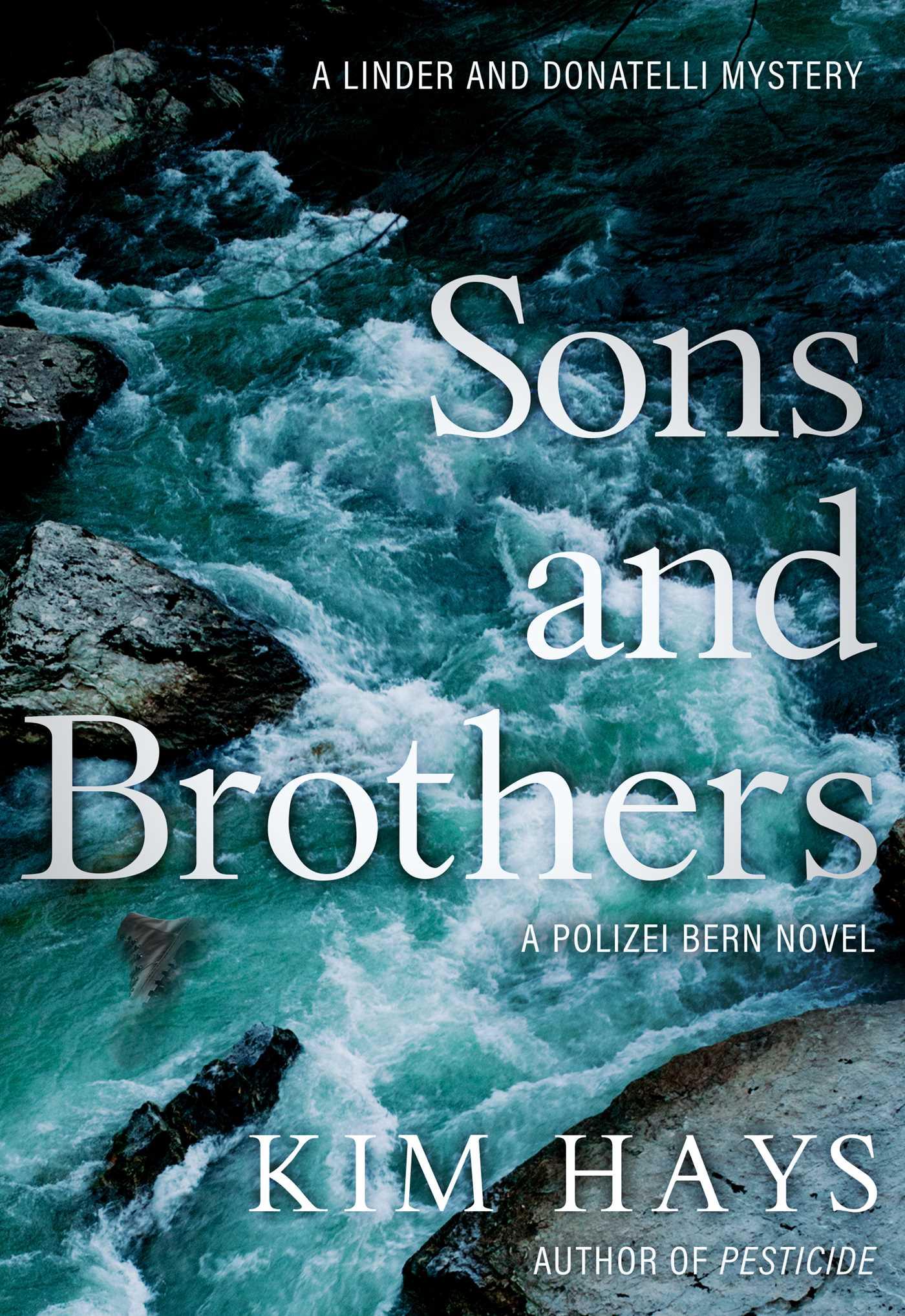Cover: 9781645060581 | Sons and Brothers | Kim Hays | Taschenbuch | Kartoniert / Broschiert