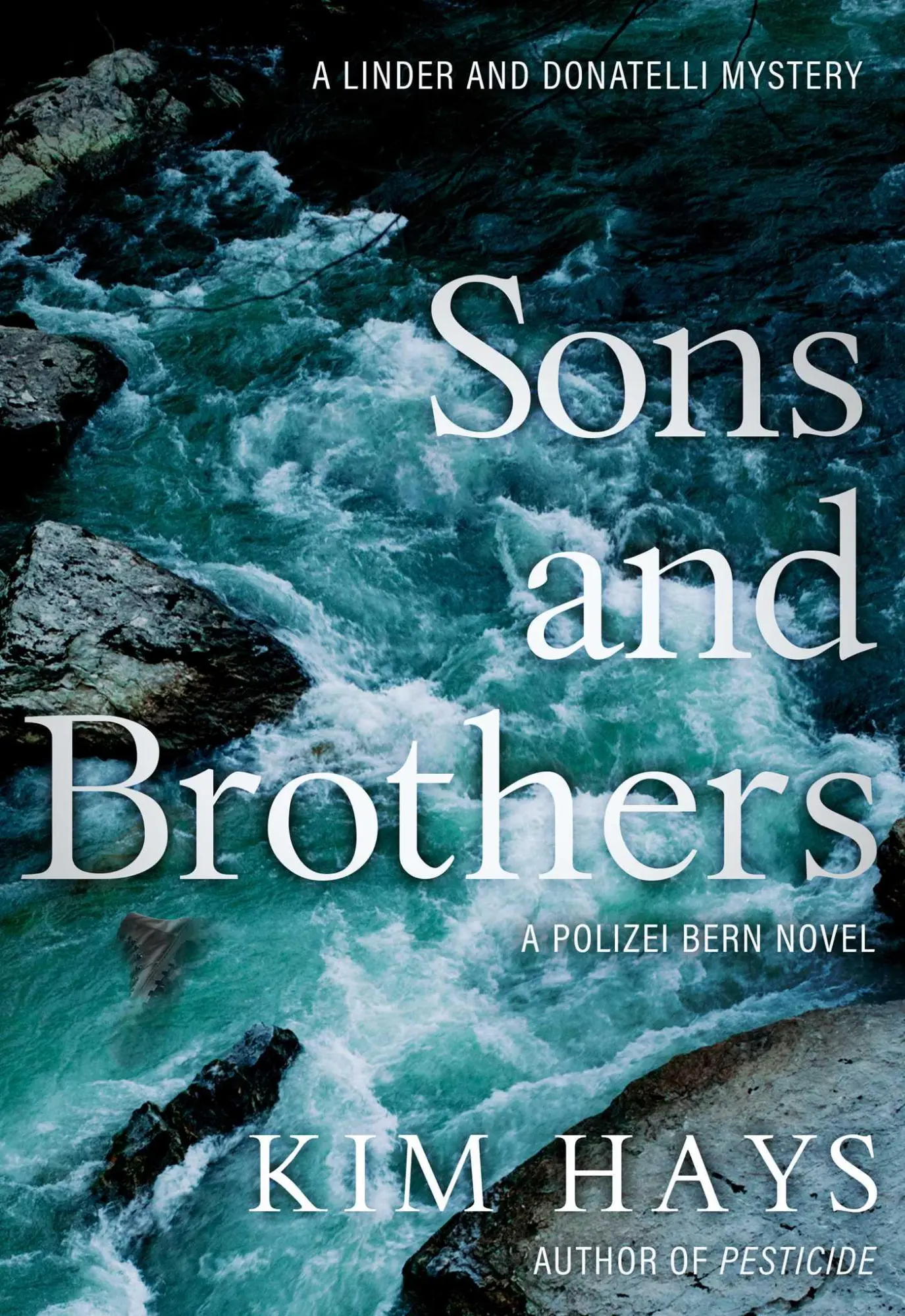Cover: 9781645060581 | Sons and Brothers | Kim Hays | Taschenbuch | Kartoniert / Broschiert
