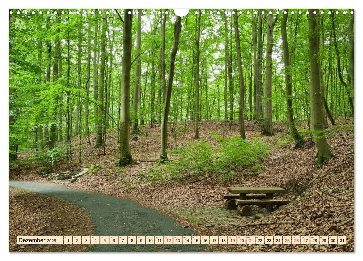 Bild: 9783457760581 | Meditatives Feldberg (Wandkalender 2026 DIN A3 quer), CALVENDO...