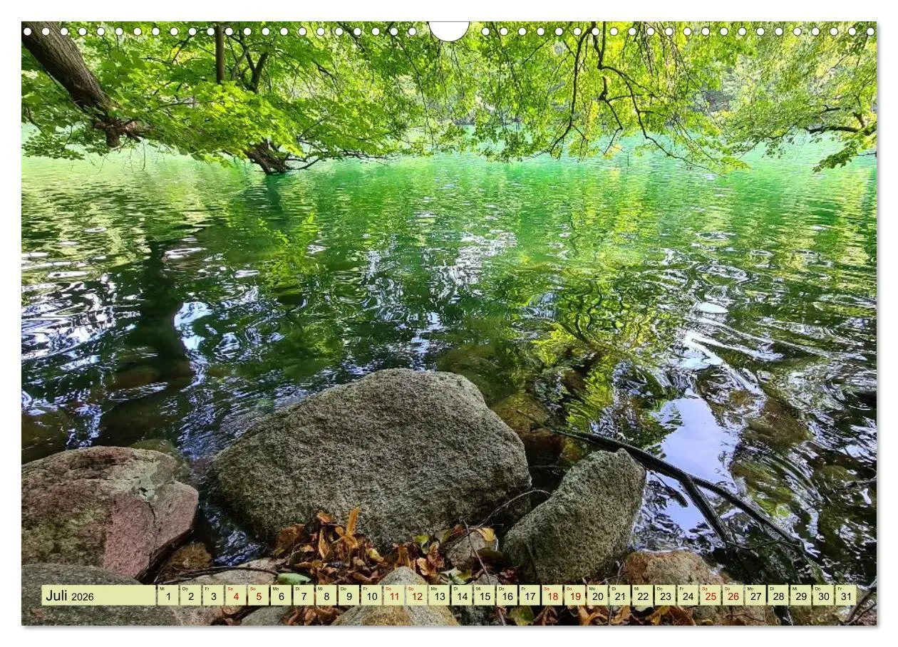 Bild: 9783457760581 | Meditatives Feldberg (Wandkalender 2026 DIN A3 quer), CALVENDO...