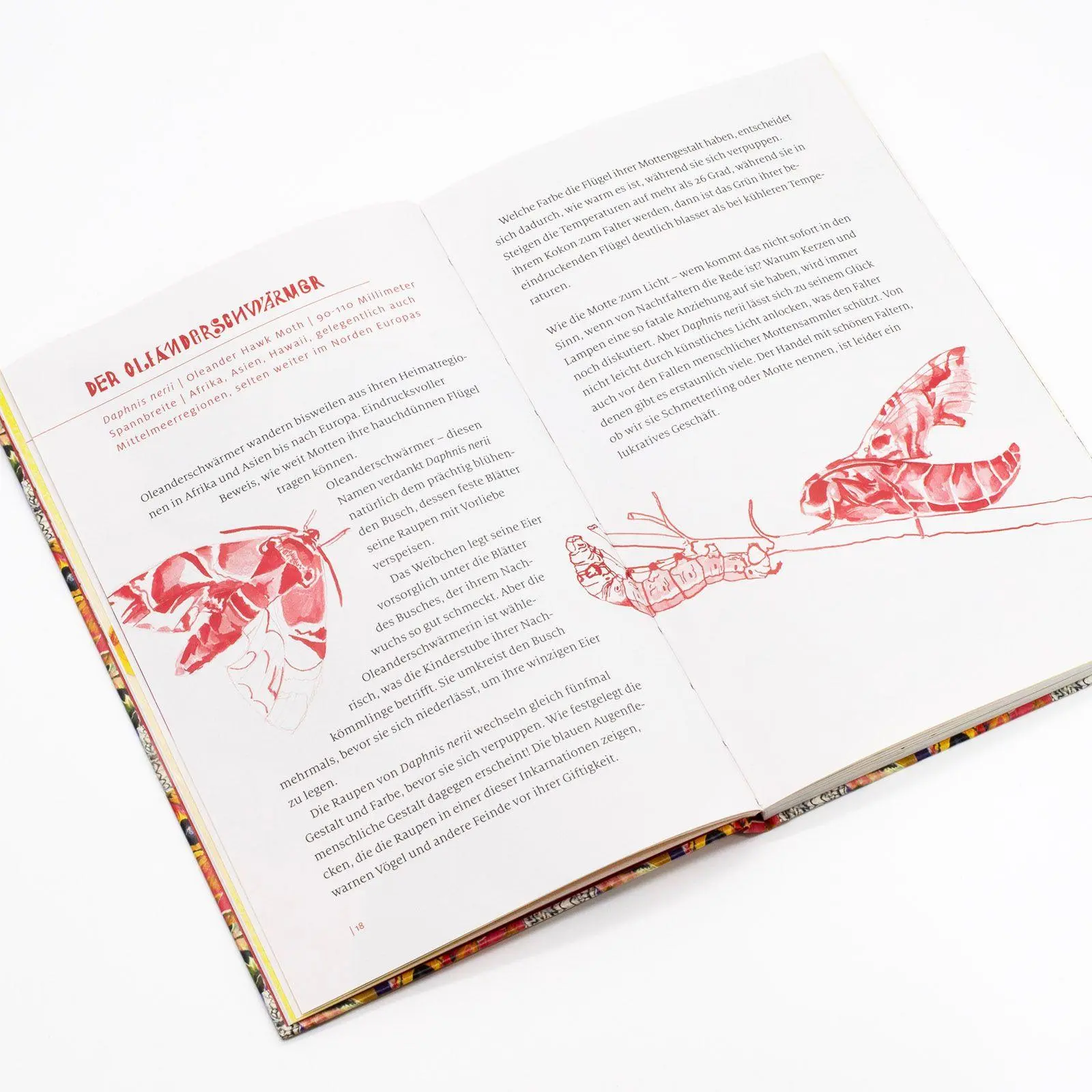 Bild: 9783458200581 | Nachtfalter | Cornelia Funke | Buch | Insel-Bücherei | 120 S. | 2025