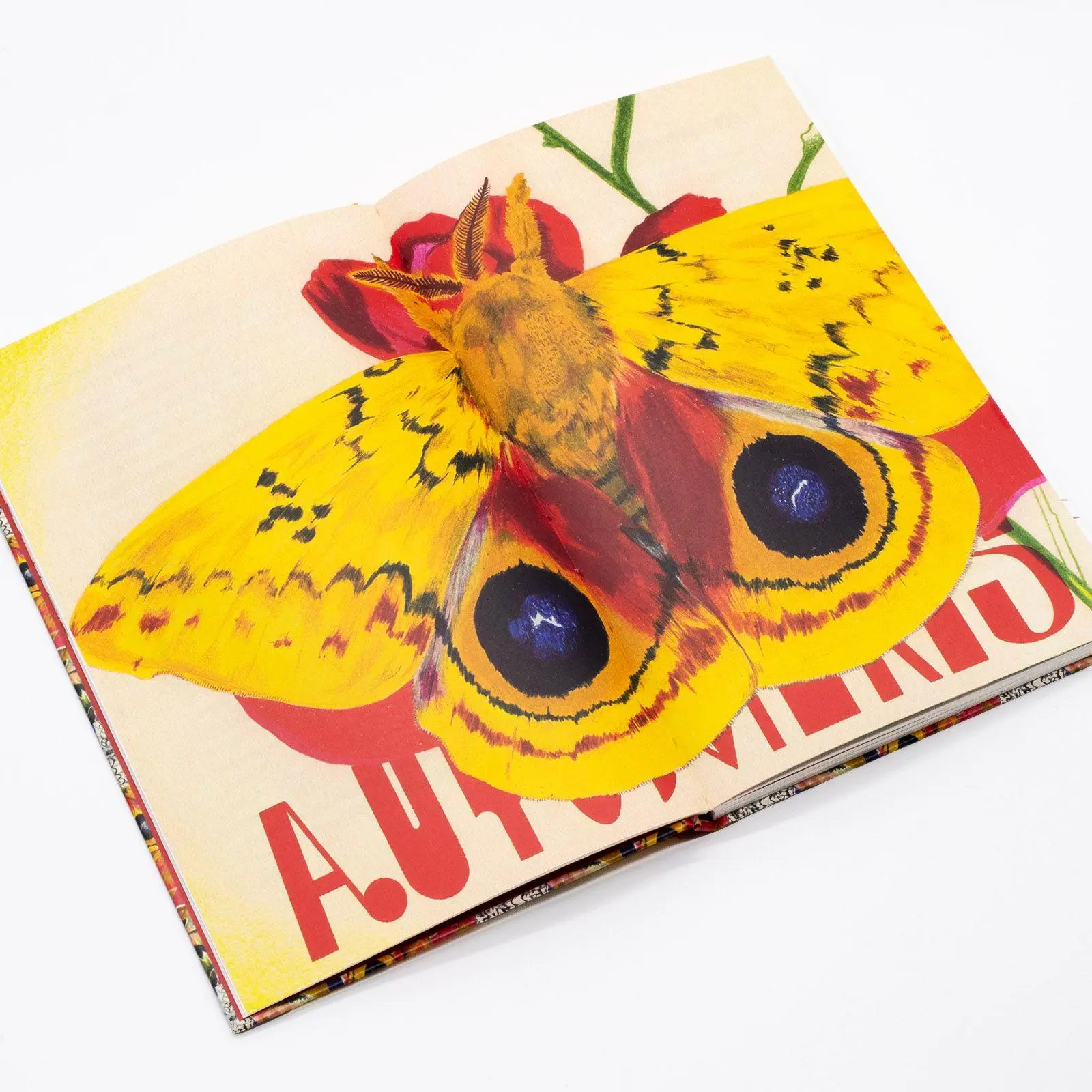 Bild: 9783458200581 | Nachtfalter | Cornelia Funke | Buch | Insel-Bücherei | 120 S. | 2025