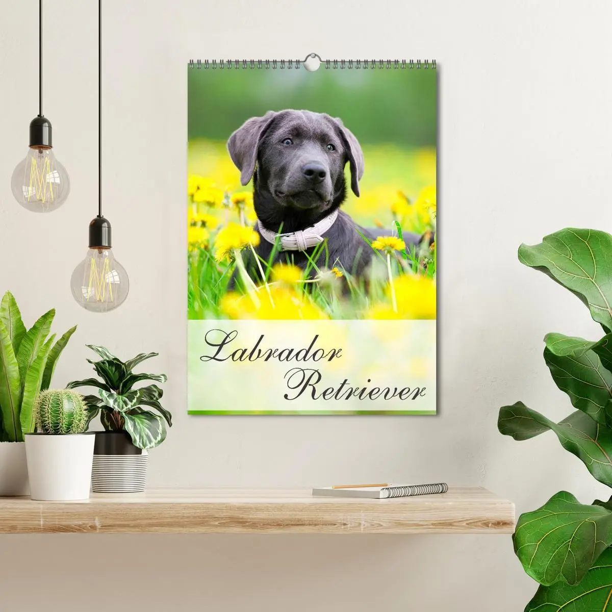 Bild: 9783516470581 | Labrador Retriever (Wandkalender 2026 DIN A3 hoch), CALVENDO...