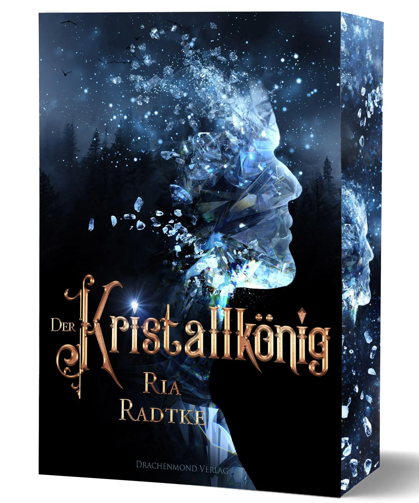 Cover: 9783691300581 | Der Kristallkönig | Softcover mit Farbschnitt | Ria Radtke | Buch