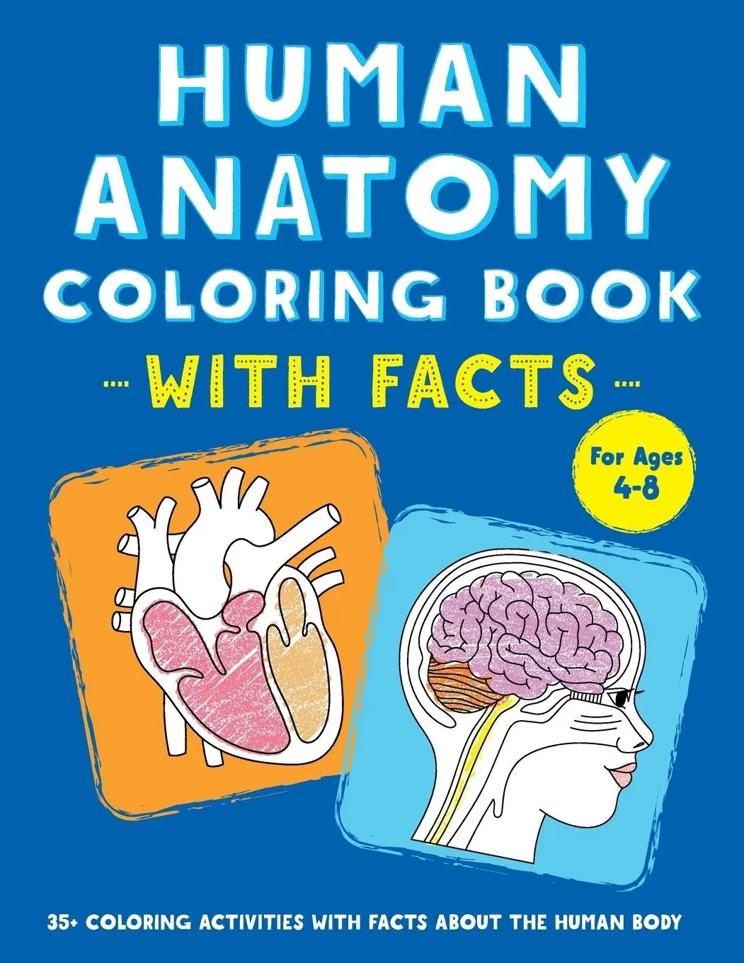 Cover: 9798886080681 | Human Anatomy Coloring Book with Facts | Rockridge Press | Taschenbuch