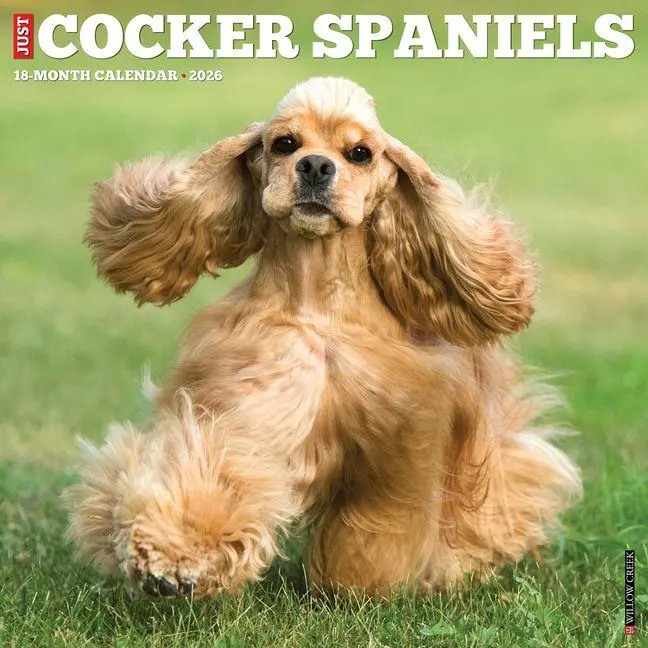 Cover: 9781549250781 | Cocker Spaniels 2026 Wall Calendar | Willow Creek Press | Kalender