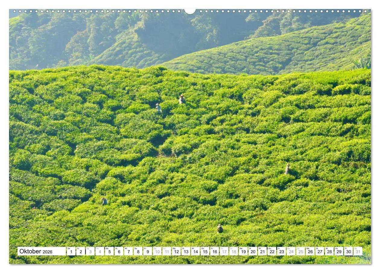 Bild: 9783457430781 | Weltreise, in zwölf Fotografien einmal um die Welt (hochwertiger...