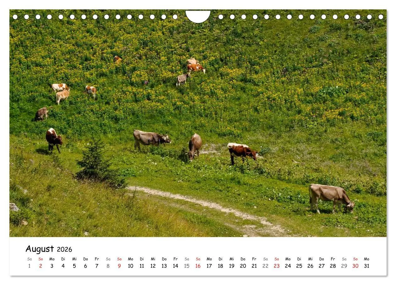 Bild: 9783516140781 | Unterwegs im Allgäu (Wandkalender 2026 DIN A4 quer), CALVENDO...