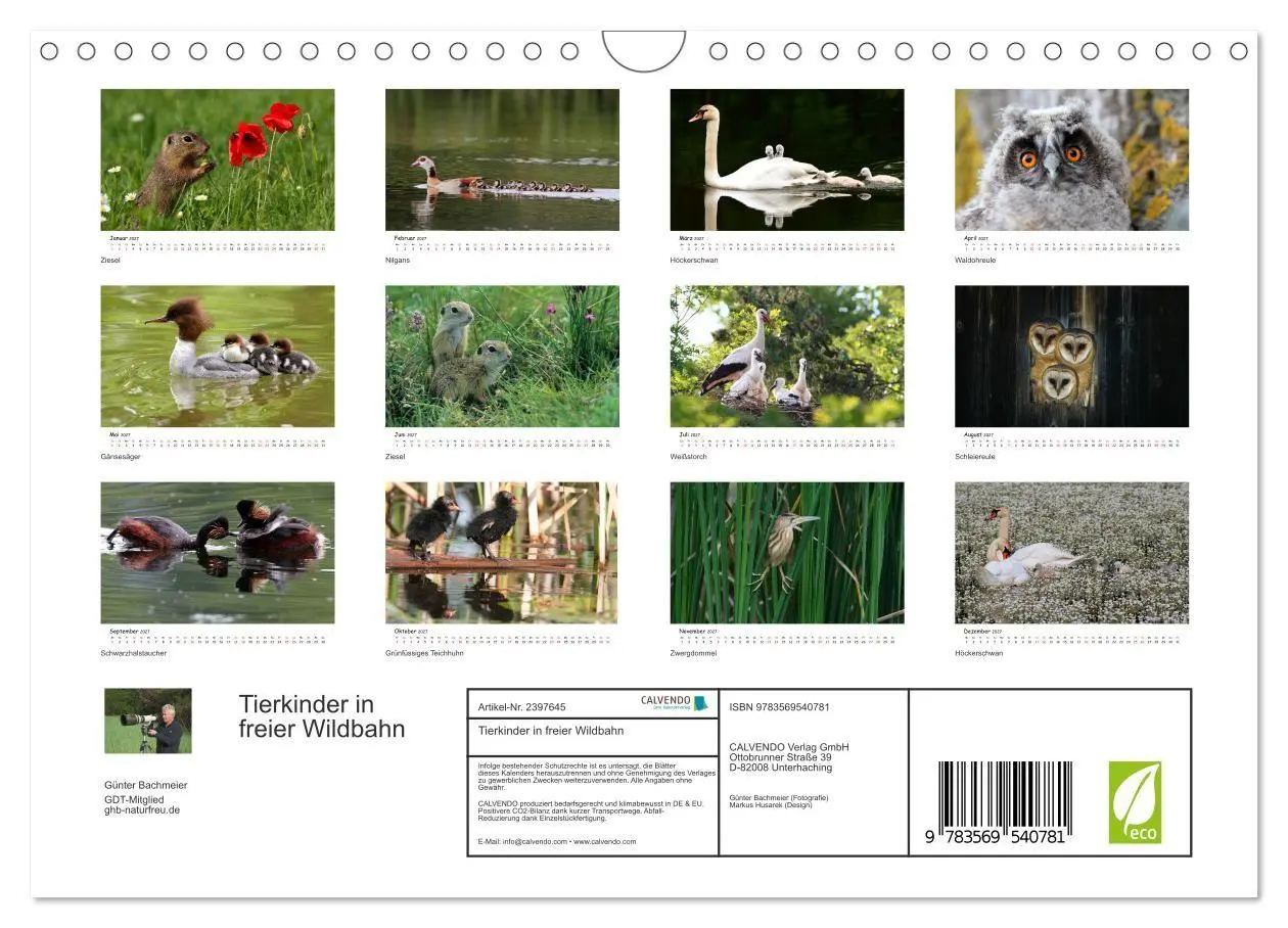 Bild: 9783569540781 | Tierkinder in freier Wildbahn (Wandkalender 2027 DIN A4 quer),...
