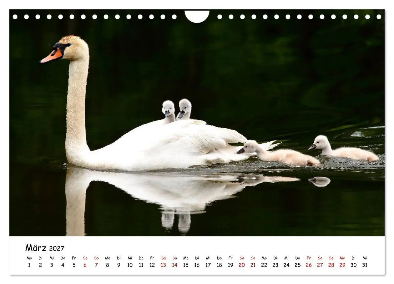 Bild: 9783569540781 | Tierkinder in freier Wildbahn (Wandkalender 2027 DIN A4 quer),...