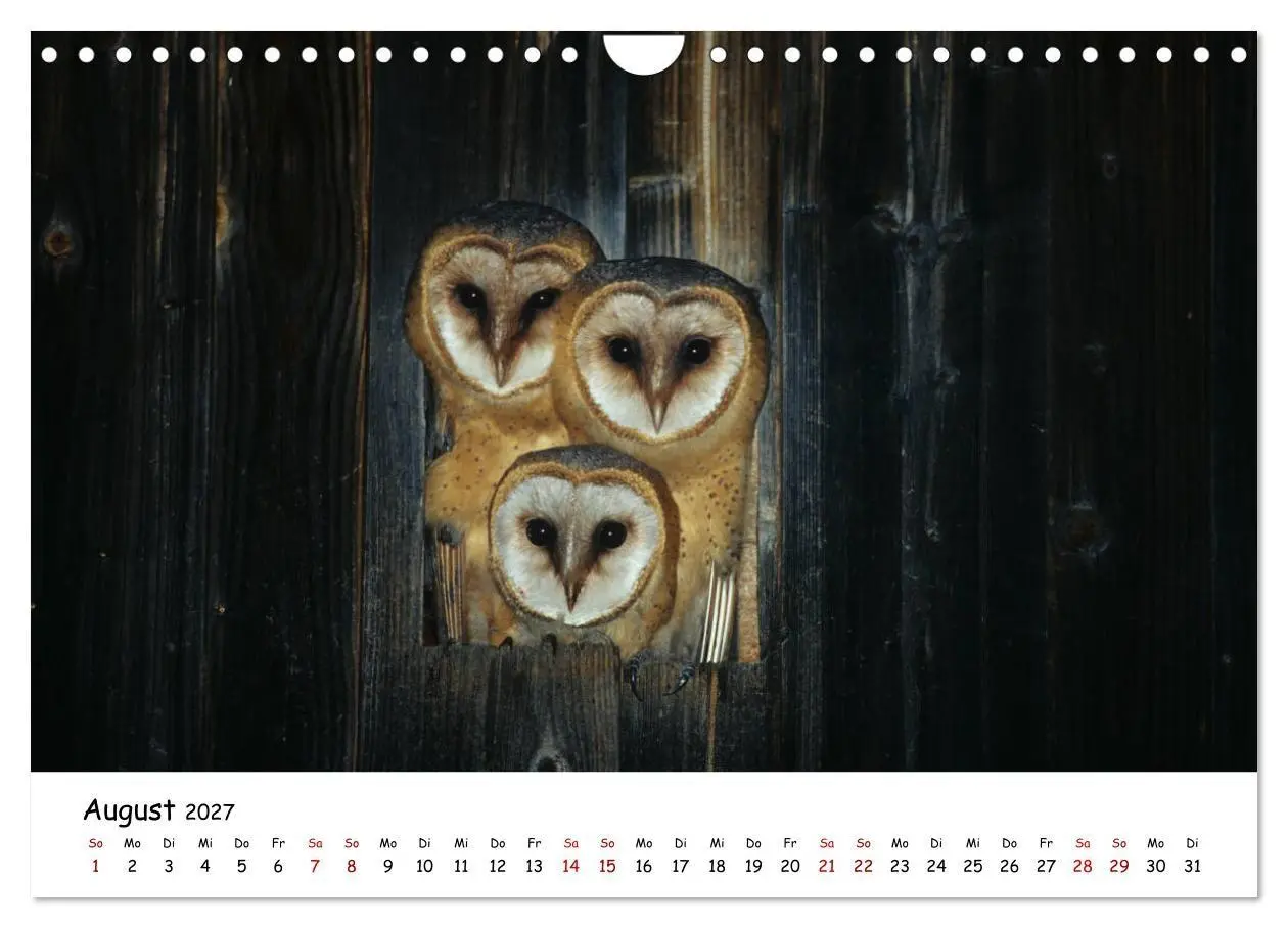 Bild: 9783569540781 | Tierkinder in freier Wildbahn (Wandkalender 2027 DIN A4 quer),...