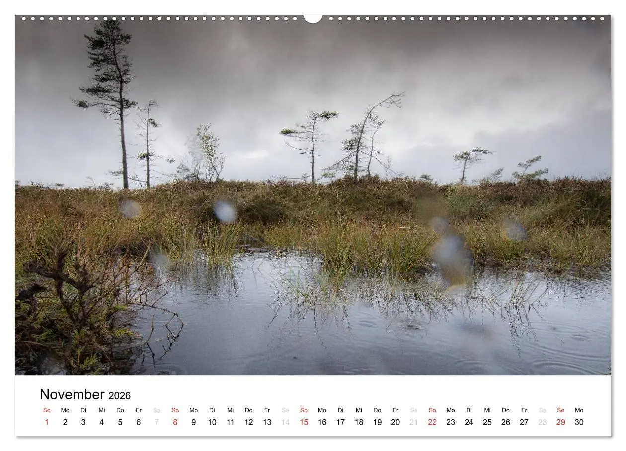 Bild: 9783457970881 | Naturerlebnis im Biosphärenreservat Rhön (Wandkalender 2026 DIN A2...