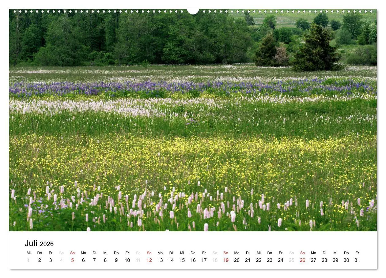 Bild: 9783457970881 | Naturerlebnis im Biosphärenreservat Rhön (Wandkalender 2026 DIN A2...