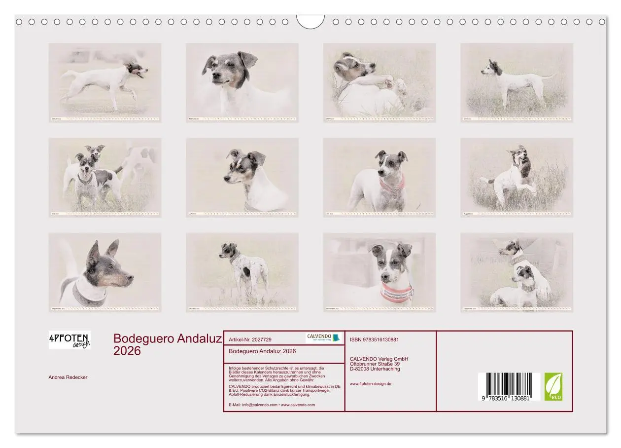 Bild: 9783516130881 | Bodeguero Andaluz 2026 (Wandkalender 2026 DIN A3 quer), CALVENDO...