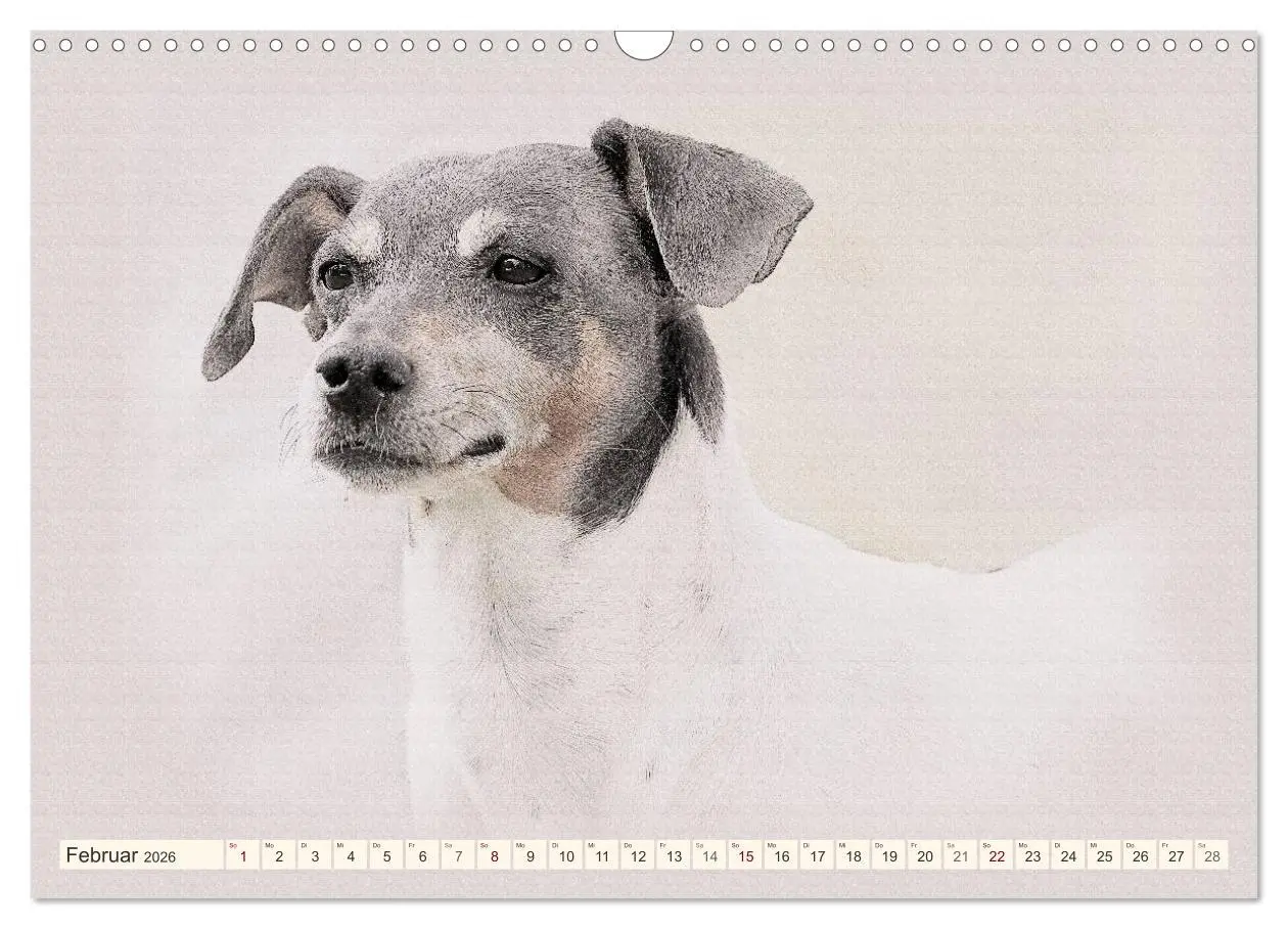 Bild: 9783516130881 | Bodeguero Andaluz 2026 (Wandkalender 2026 DIN A3 quer), CALVENDO...