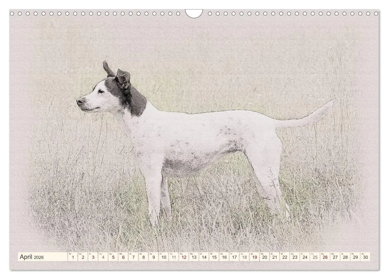 Bild: 9783516130881 | Bodeguero Andaluz 2026 (Wandkalender 2026 DIN A3 quer), CALVENDO...