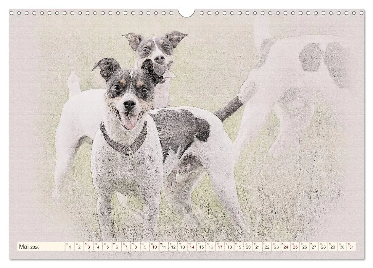 Bild: 9783516130881 | Bodeguero Andaluz 2026 (Wandkalender 2026 DIN A3 quer), CALVENDO...