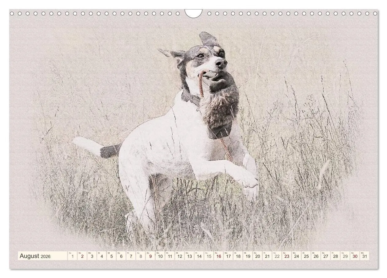 Bild: 9783516130881 | Bodeguero Andaluz 2026 (Wandkalender 2026 DIN A3 quer), CALVENDO...
