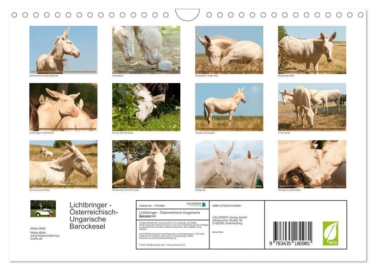 Bild: 9783435180981 | Lichtbringer - Österreichisch-Ungarische Barockesel (Wandkalender...