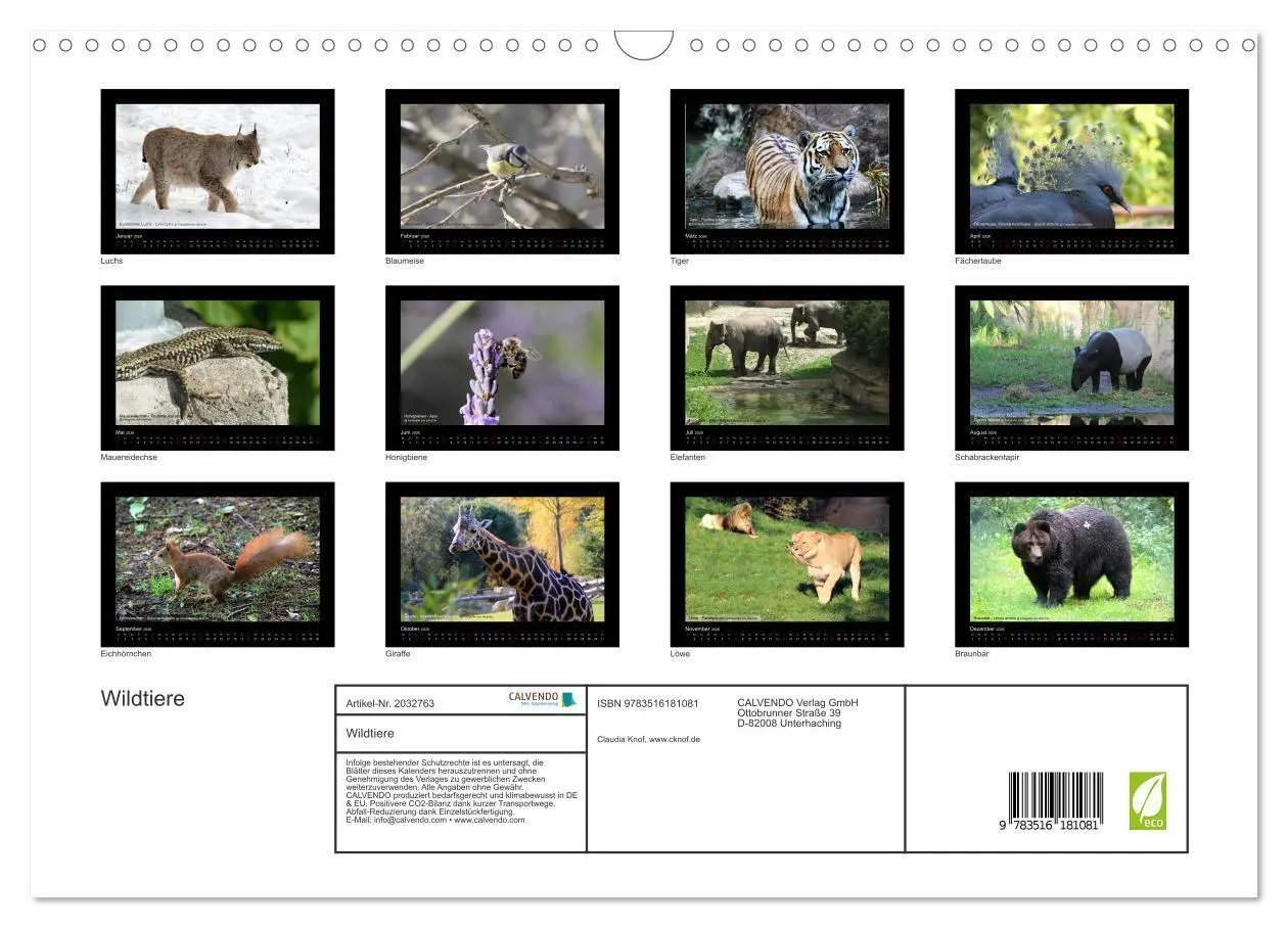 Bild: 9783516181081 | Wildtiere (Wandkalender 2026 DIN A3 quer), CALVENDO Monatskalender